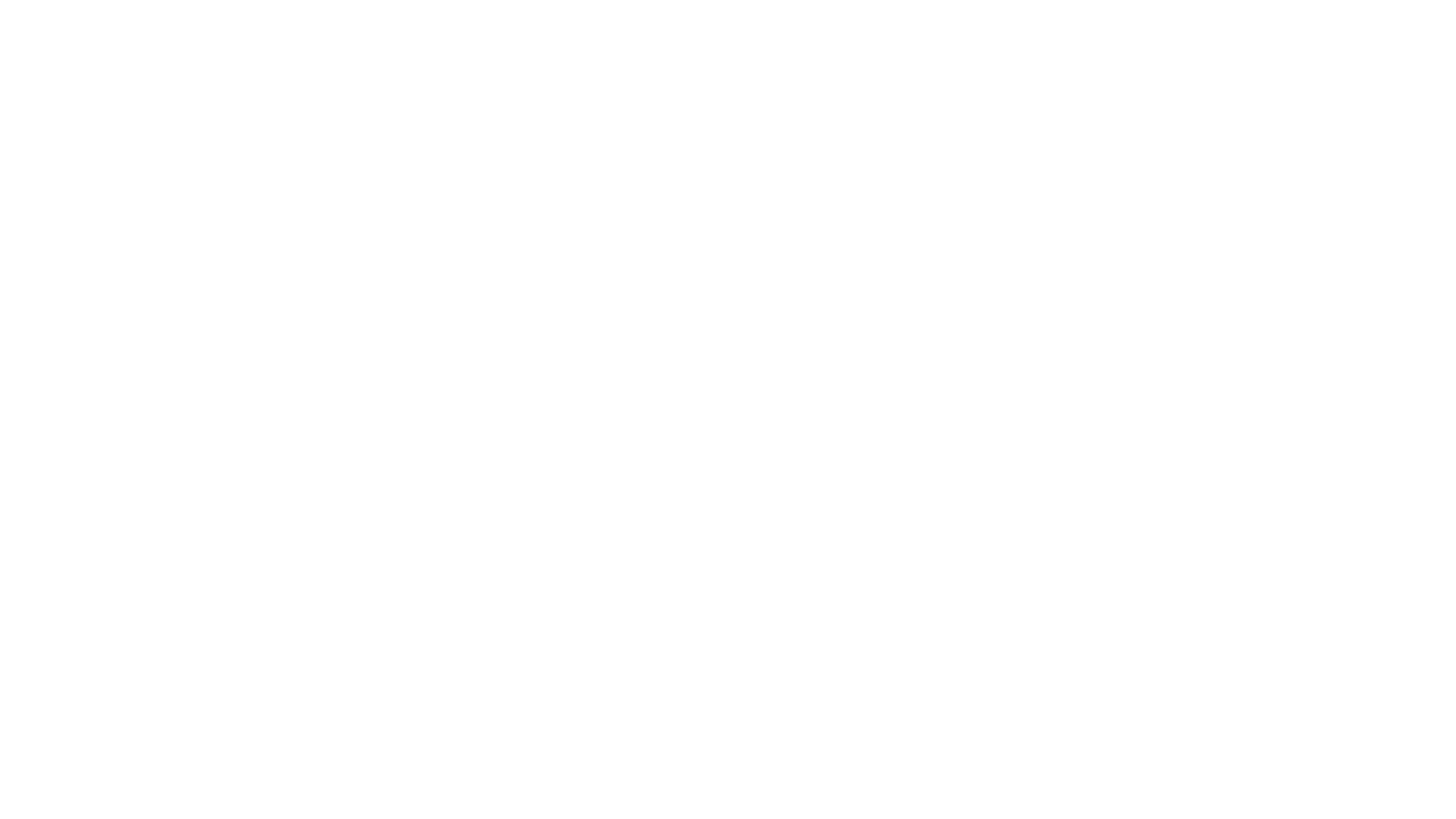 NightVCE V Logo